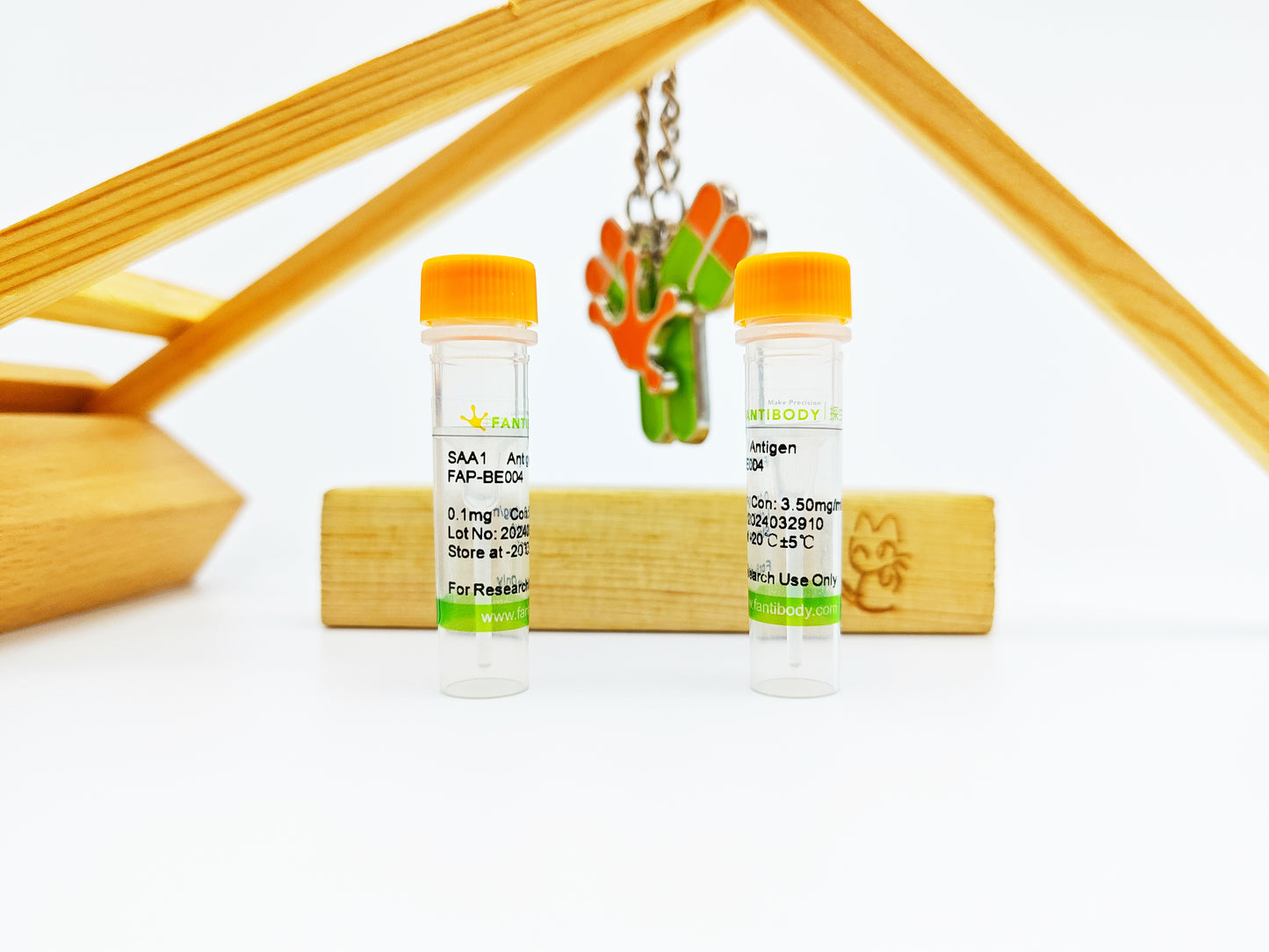 SAA1 Antigen