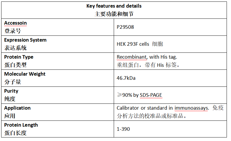 SCCA1 Antigen