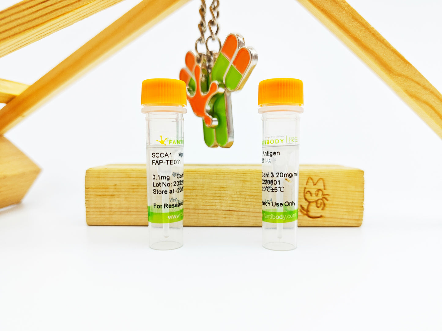 SCCA1 Antigen