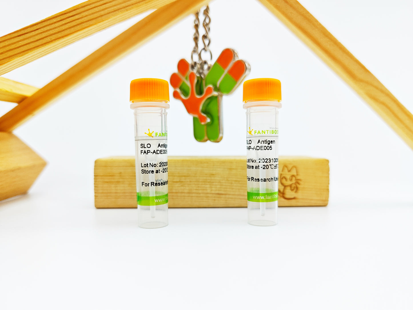 SLO Antigen