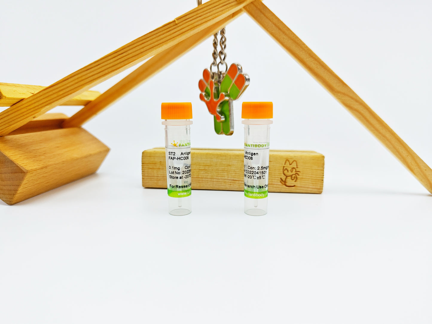 ST2 Antigen