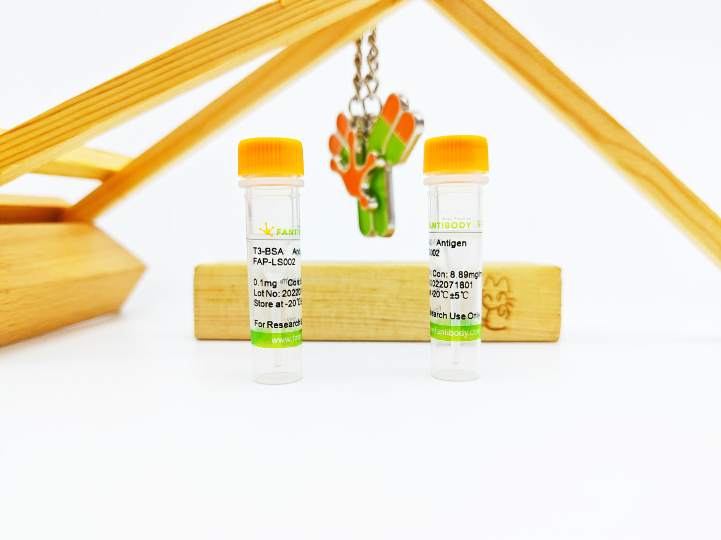 T3-BSA Antigen