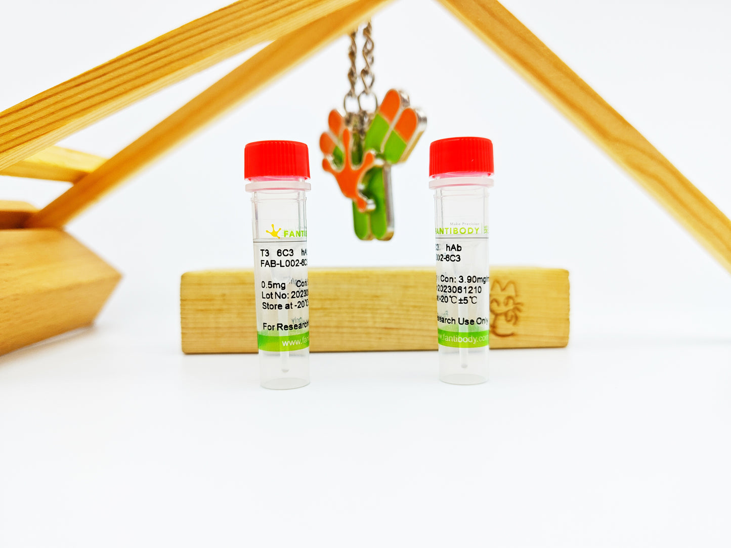 T3 Antibody