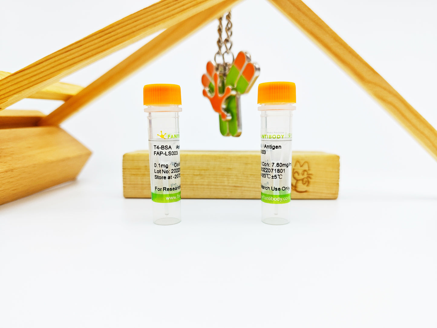 T4-BSA Antigen