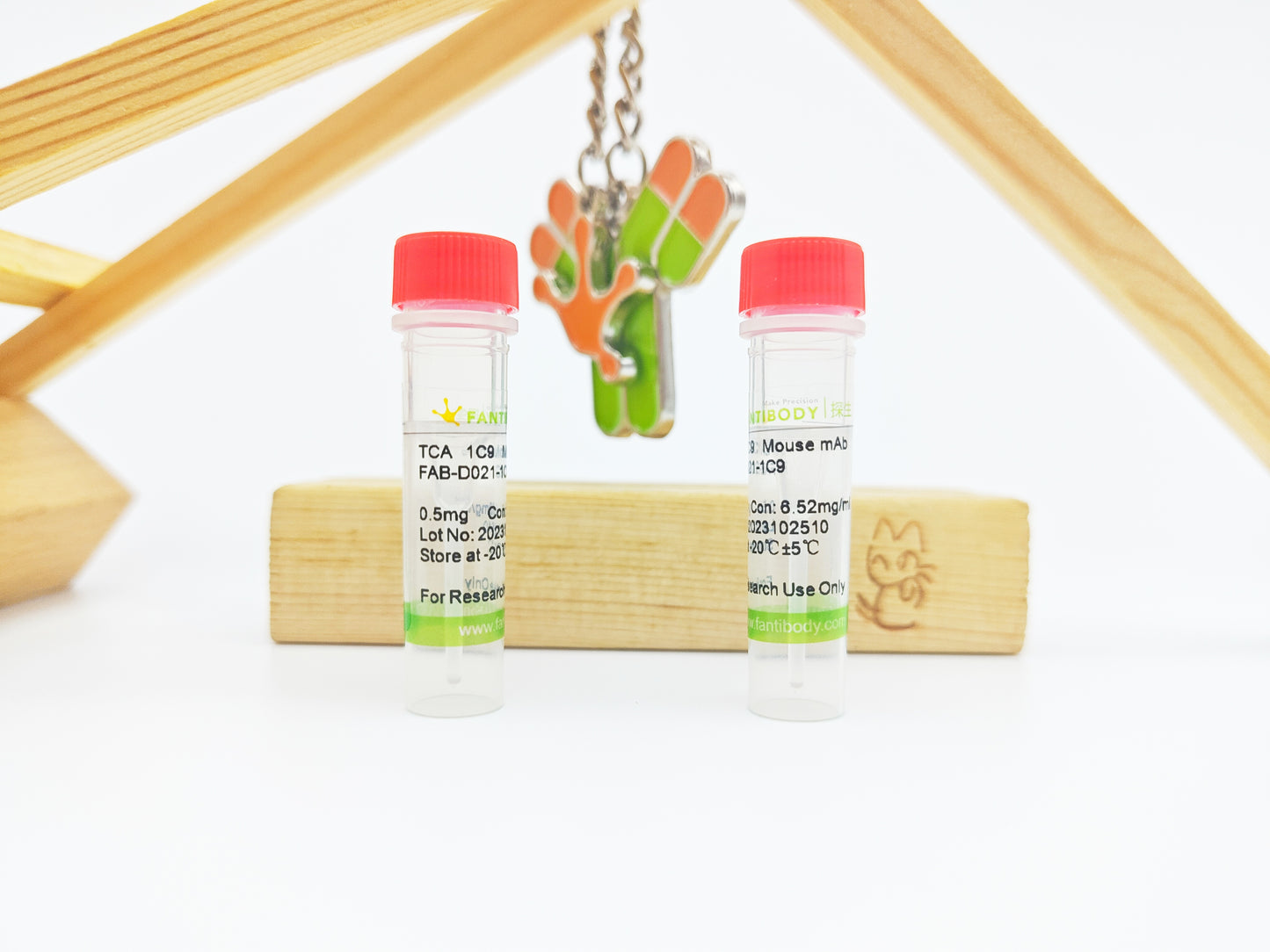 TCA Antibody