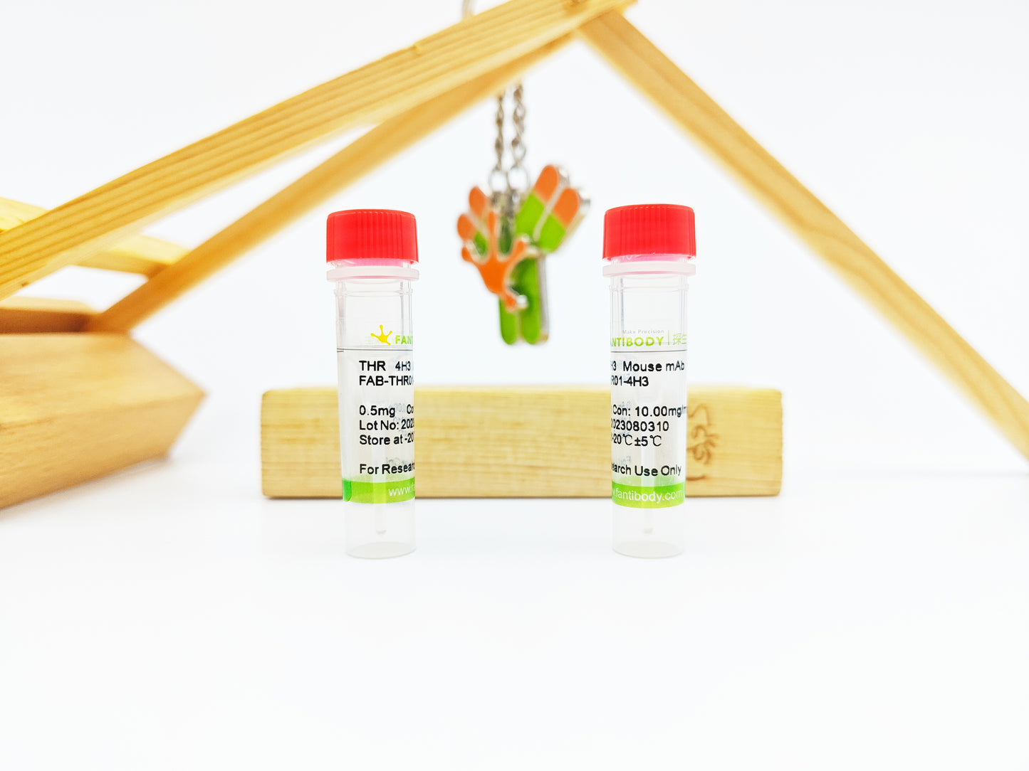 THR Antibody