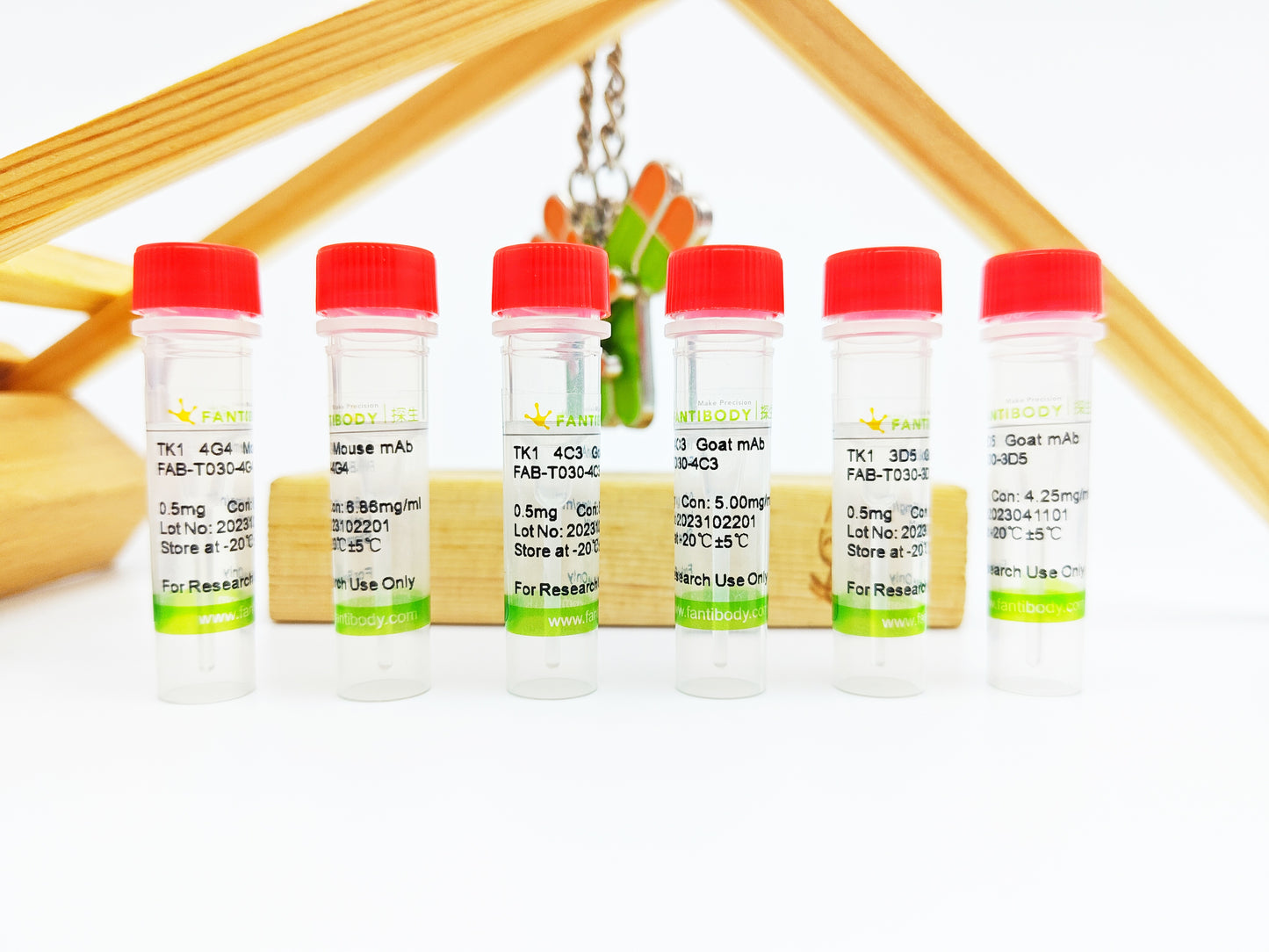TK1 Antibody