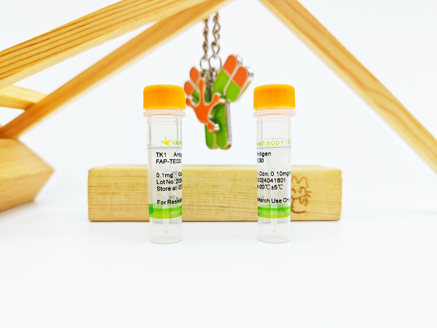 TK1 Antigen