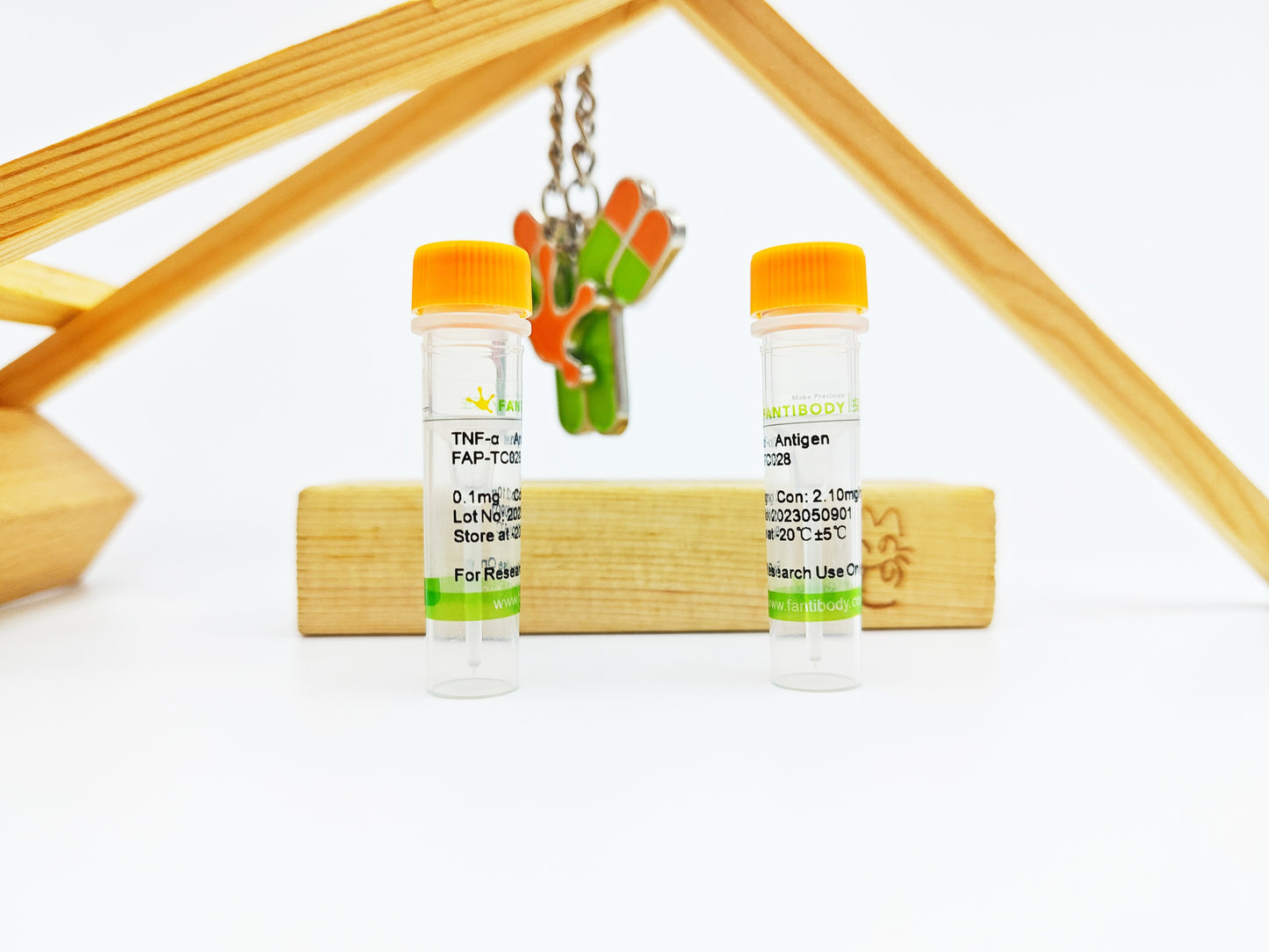 TNF-α Antigen