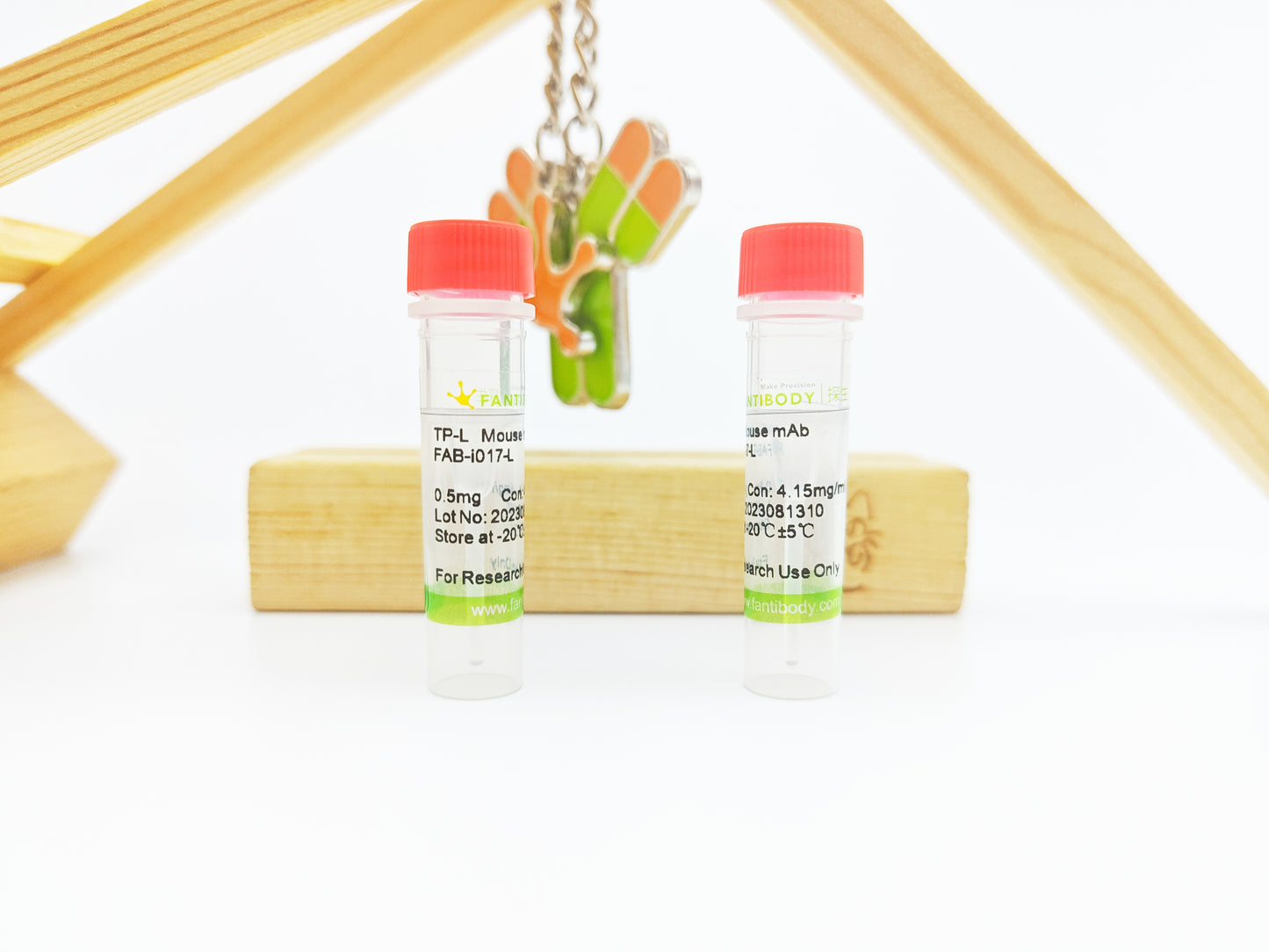 TP-L Antibody