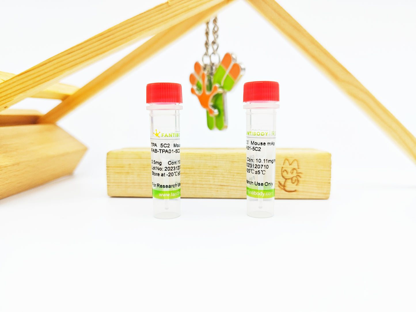 TPA Antibody