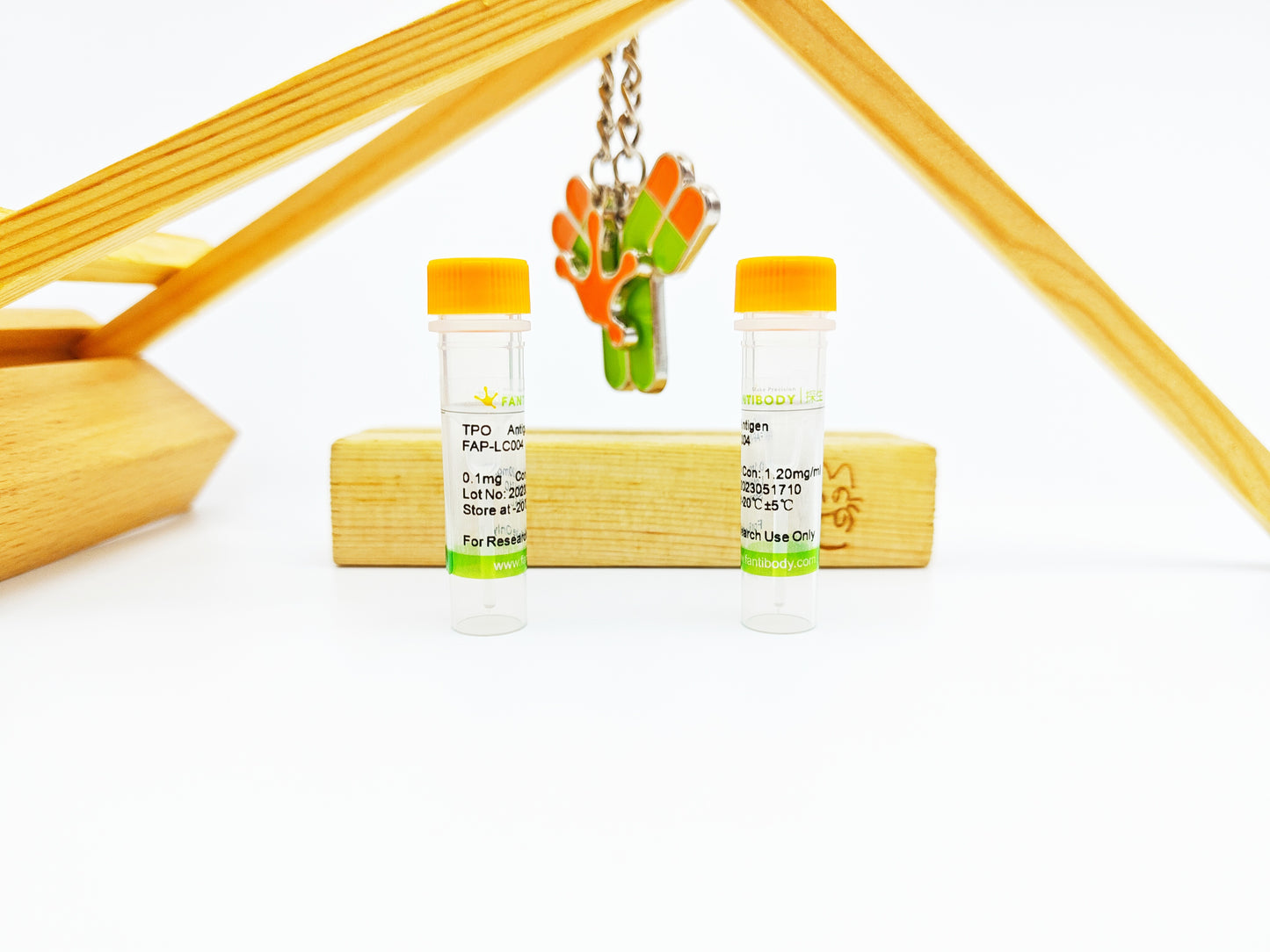 TPO Antigen