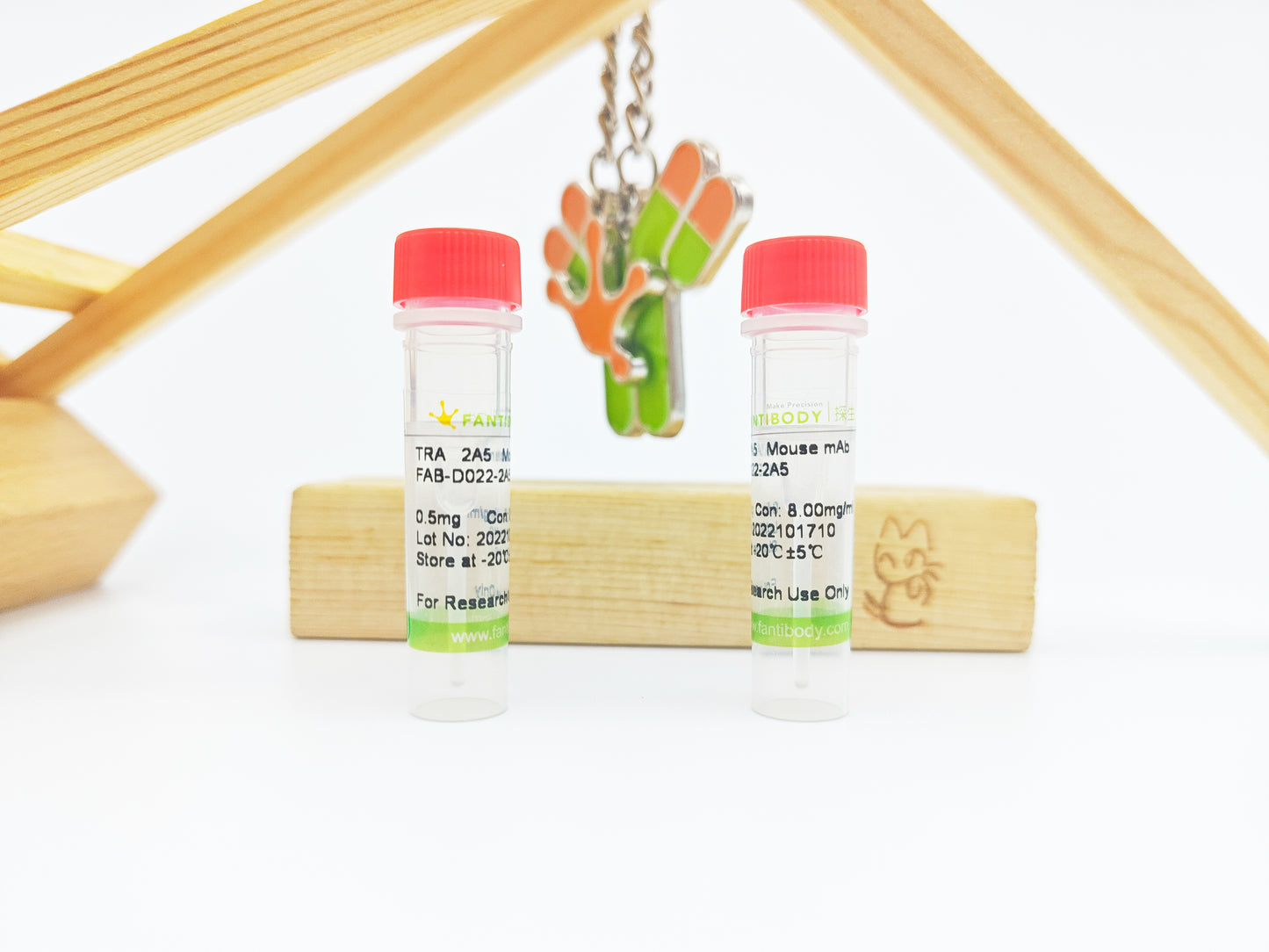 TRA Antibody