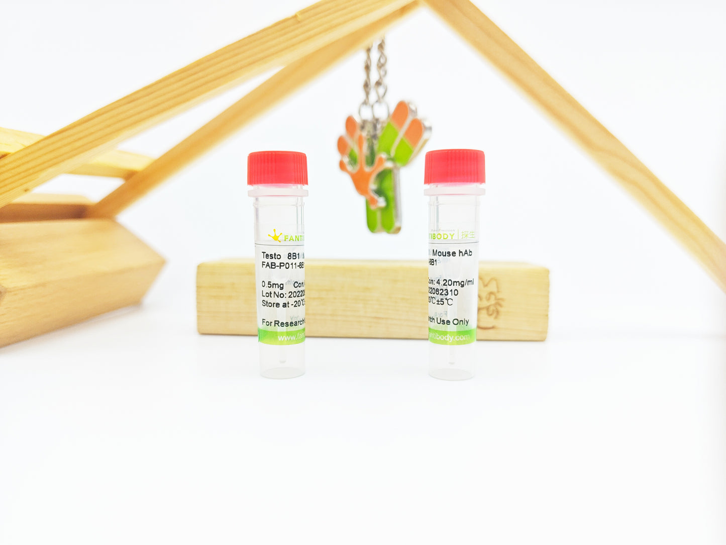 Testo Antibody