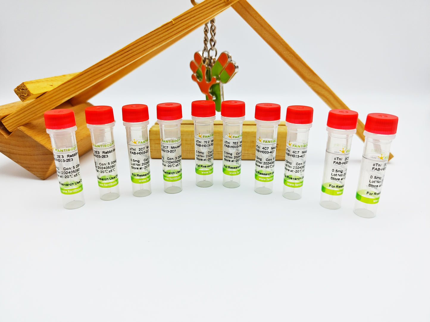 TnC Antibody