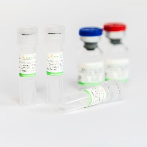 Neisseria gonorrhoeae