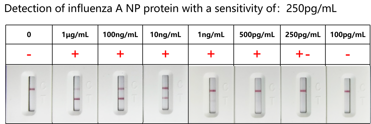 FluA/B Antigen Rapid Test Uncut Sheet (cassette-L)
