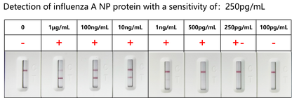 FluA/B Antigen Rapid Test Uncut Sheet (cassette-L)
