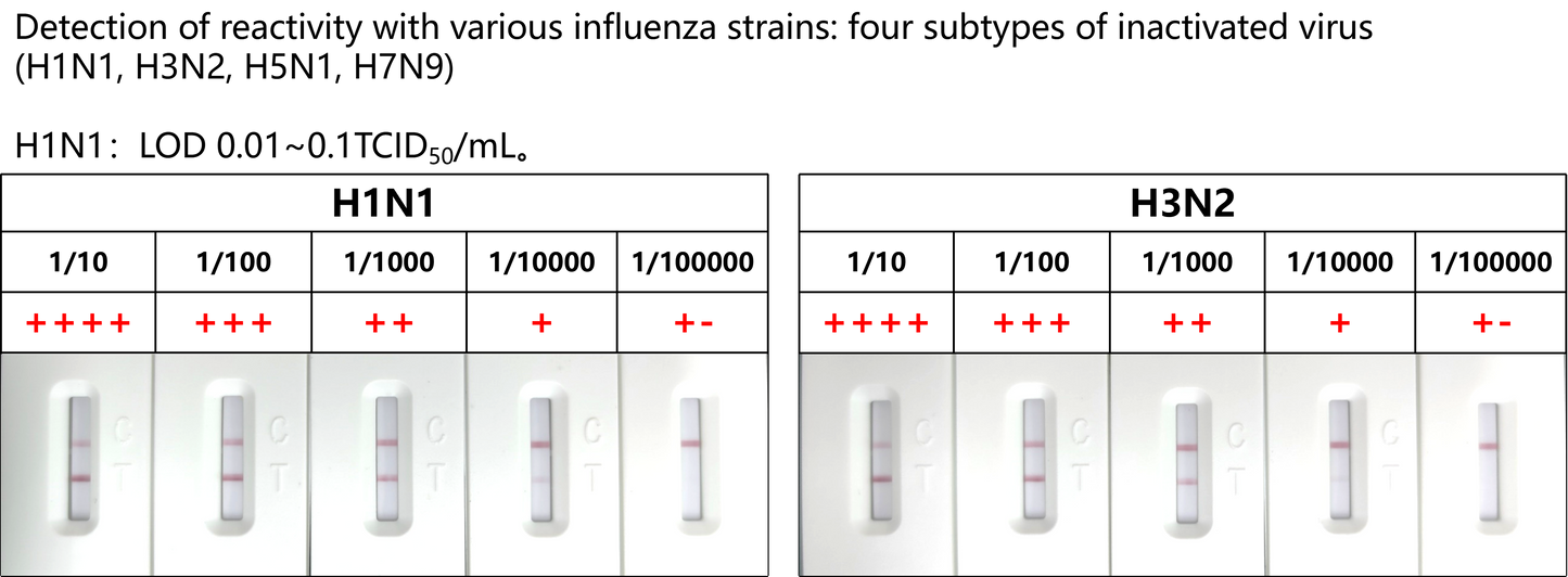 FluA/B Antigen Rapid Test Uncut Sheet (cassette-L)