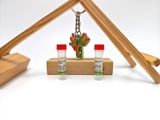 Rapid Complete Adjuvant (Emulsified)