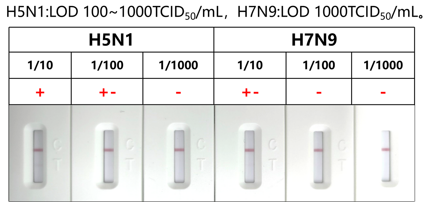 FluA/B Antigen Rapid Test Uncut Sheet (cassette-L)