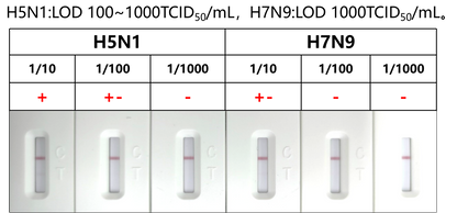 FluA/B Antigen Rapid Test Uncut Sheet (cassette-L)