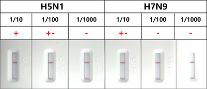 甲型流感病毒抗体