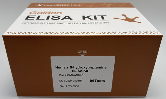 Human  5-hydroxytryptamine ELISA Kit
