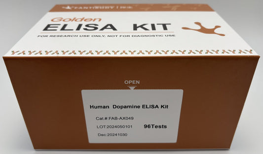 Human  Dopamine ELISA Kit