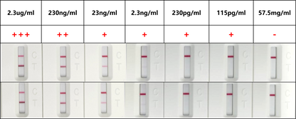 FluB Antibody