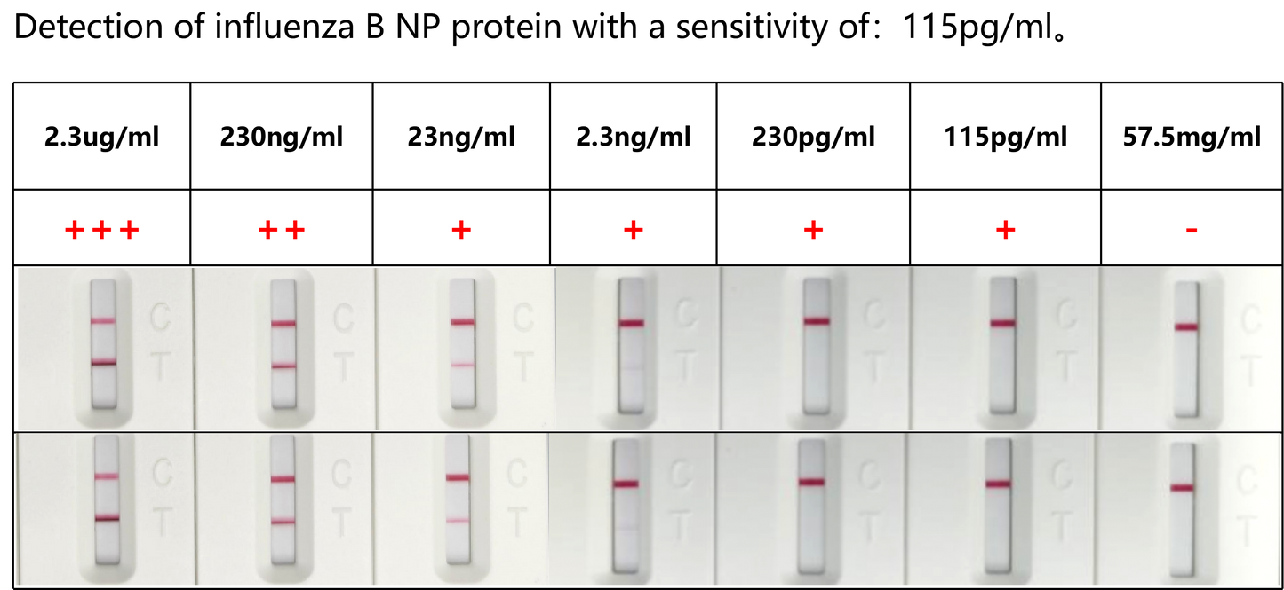 FluA/B Antigen Rapid Test Uncut Sheet (cassette-L)