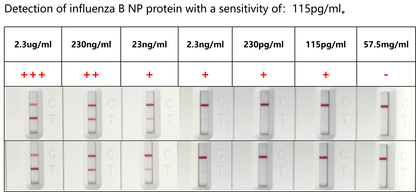 FluA/B Antigen Rapid Test Uncut Sheet (cassette-L)