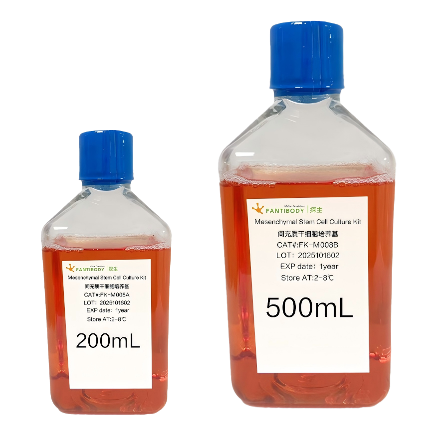 Mesenchymal Stem Cell Culture Kit