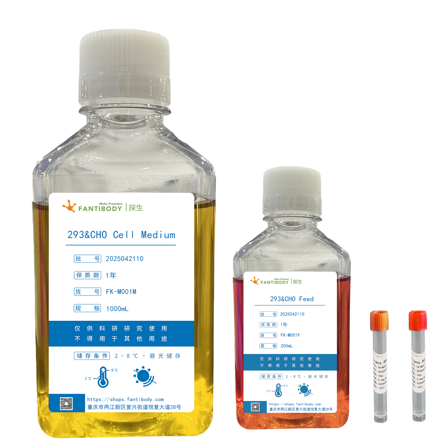 293 & CHO Cell Instant Transfer Kit