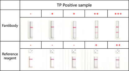 TP-L Antibody