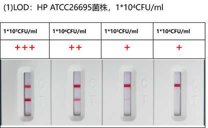 H. pylori Antigen Rapid Test Uncut Sheet (cassette)