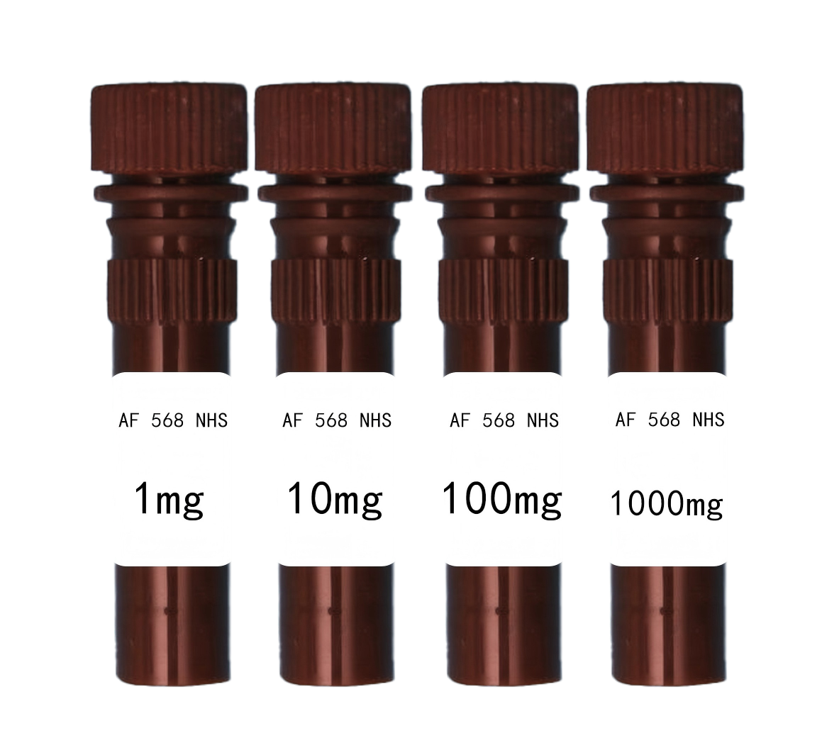 AF 568 NHS