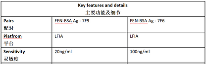 FEN Antibody