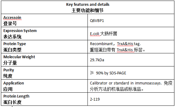 乙肝病毒前S1蛋白抗原