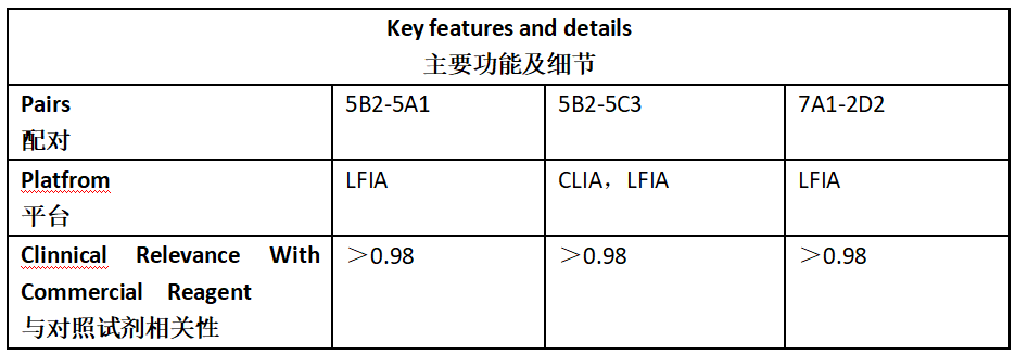 人绒毛膜促性腺激素抗体