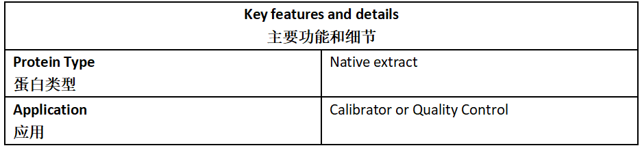 人绒毛膜促性腺激素抗原