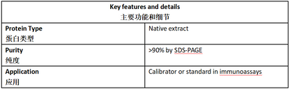 β-人绒毛膜促性腺激素抗原