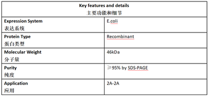 HIV Ⅱ Antigen