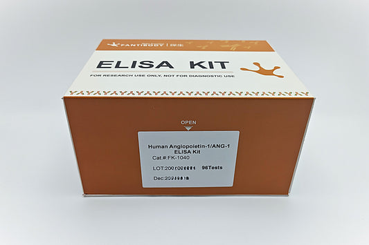 Human Angiopoietin-1/ANG-1 ELISA Kit