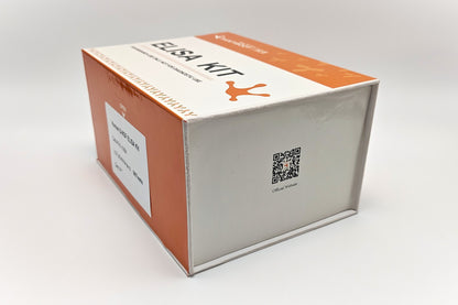 Human β-NGF ELISA Kit