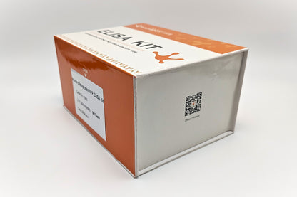 Human α-fetoprotein/AFP ELISA Kit