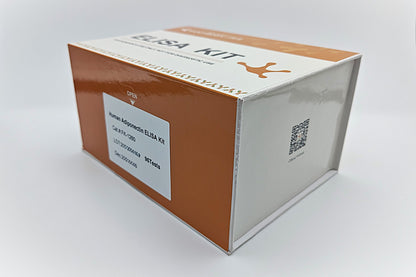 Human Adiponectin ELISA Kit