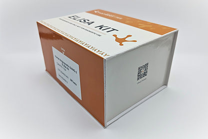 Human Angiopoietin-2/ANG-2 ELISA Kit