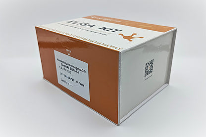 Human Angiotensinogen/AGT/SerpinA8 ELISA Kit