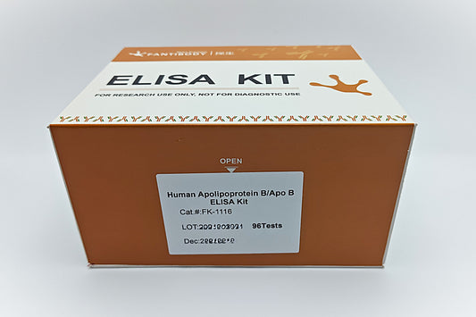 Human Apolipoprotein B/Apo B ELISA Kit